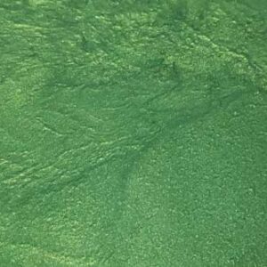 Pigments Métalliques pour Époxy - ÉVO - Vert jungle