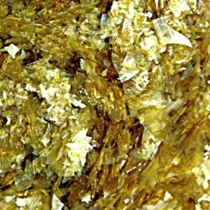 Gomme de Laque Décirée - ÉVO